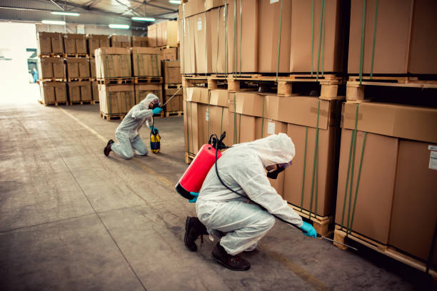 Best Termite Control Services  in Lebanon, IN
