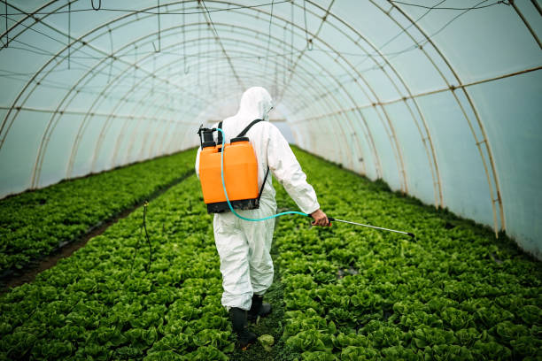 Best Affordable Pest Control Services  in Lebanon, IN