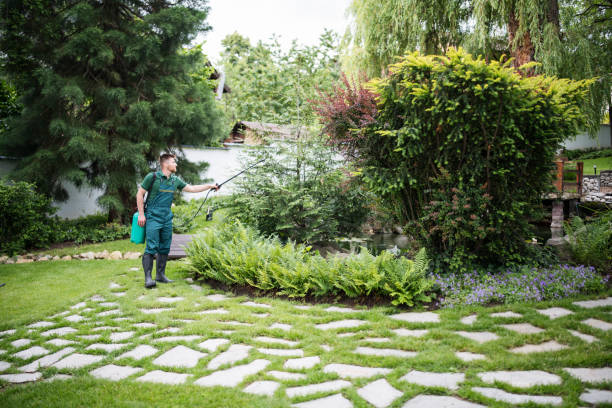 Best Affordable Pest Control Services  in Lebanon, IN