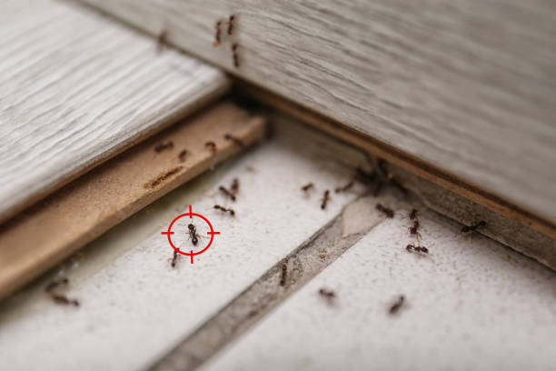 Best Pest Control for Businesses  in Lebanon, IN