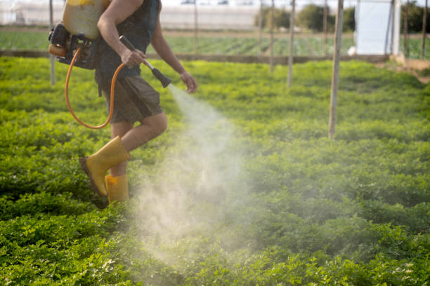 Best Pest Removal Services  in Lebanon, IN