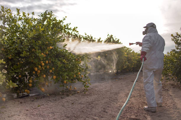 Best Commercial Pest Control Services  in Lebanon, IN