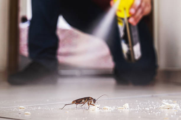 Best Local Pest Control Services  in Lebanon, IN