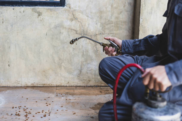 Best Wasp Removal Services  in Lebanon, IN